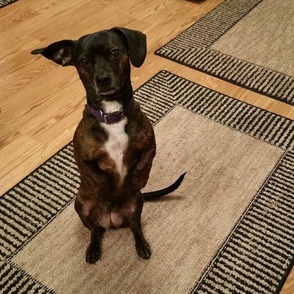 Meet your Posher, Kathy